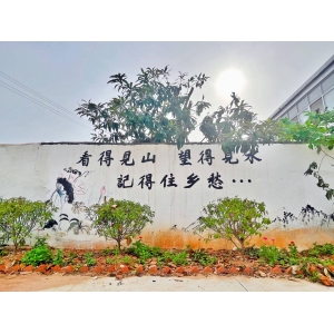 村里的文化墻_墻頭村和花墻村_墻里村會(huì)拆嗎